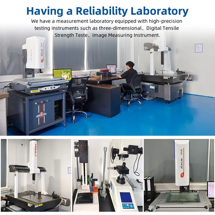 Stainless Steel Torsion Spring Wire Bending Forming Parts